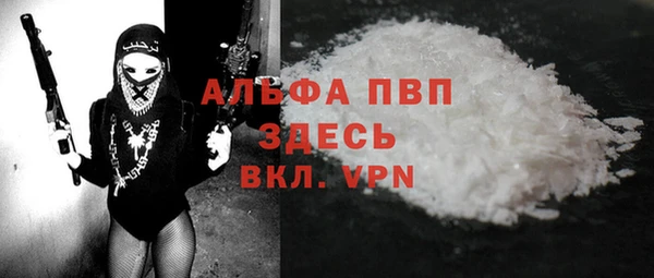 твердый Гатчина